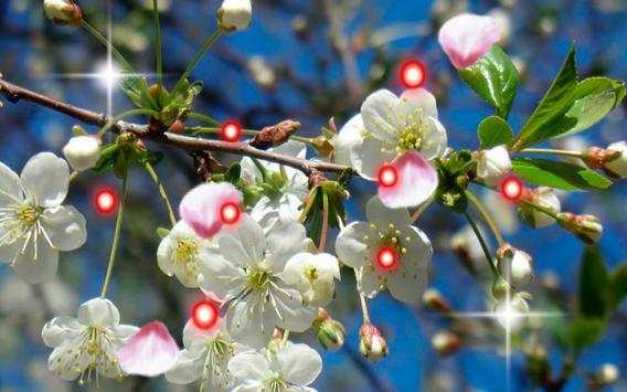 Apples Flowers live wallpaper screenshot 5