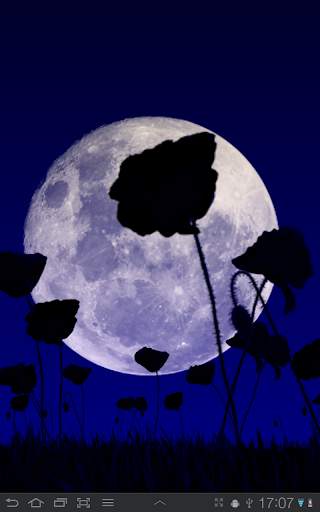 Poppy Field Free screenshot 13