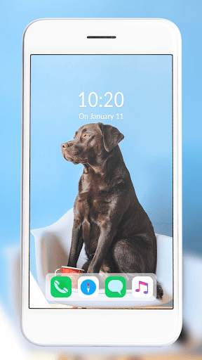 Live Wallpaper Animal screenshot 2