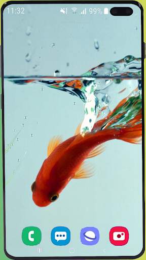 Fish Wallpaper HD screenshot 6