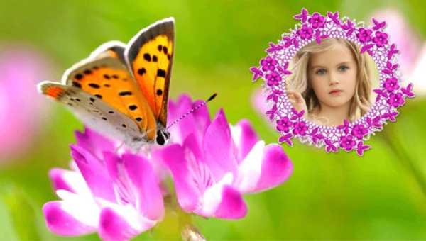 Butterfly Frames screenshot 8