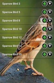 Sparrow Bird Sound screenshot 2