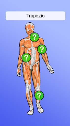 Anatomia screenshot 1