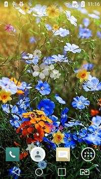 Spring live wallpaper screenshot 7