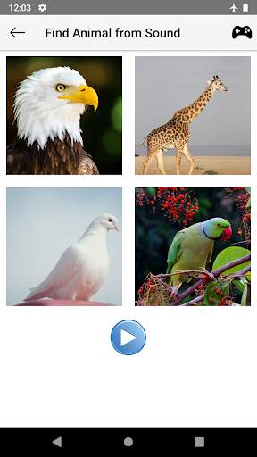 Animal sounds for kids and toddlers screenshot 7