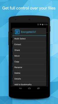 B1 File Manager screenshot 1