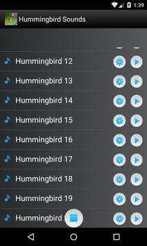 Hummingbird Sounds Ringtones screenshot 3