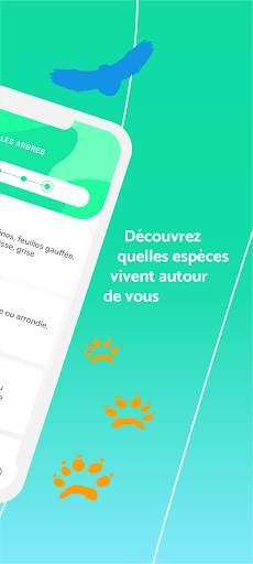 Clés de forêt скриншот 2
