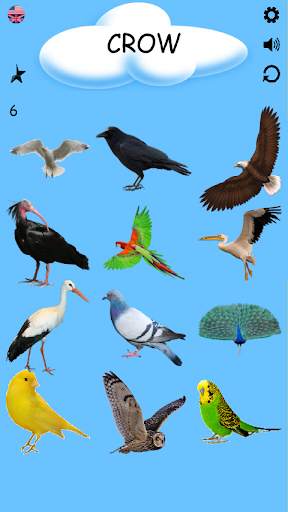 Birds - Learning Birds स्क्रीनशॉट 2