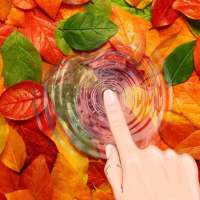 🍁 Autumn Wallpaper Ripple Live Wallpaper Free