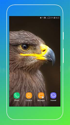 HD Eagle Wallpaper screenshot 16