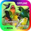Bird Sounds 2.1