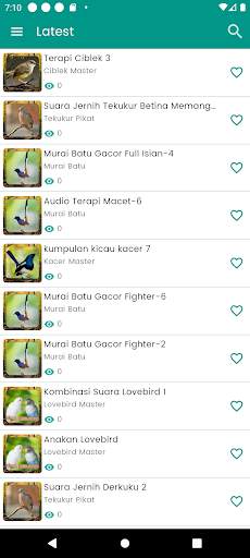 Suara Burung Kenari Gacor screenshot 4
