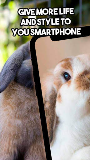 🐰 Rabbit Wallpaper 🐰 - Cute Rabbit Wallpaper 🐇 screenshot 1