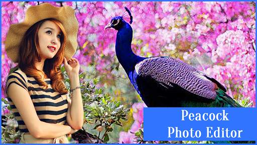 Peacock Photo Editor 2 تصوير الشاشة