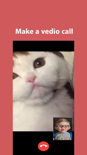 Vedio call and Chat from Cat Simulation screenshot 2