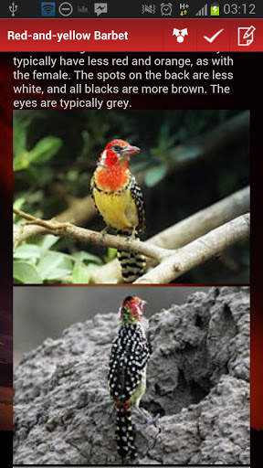 Birds Of Uganda स्क्रीनशॉट 3