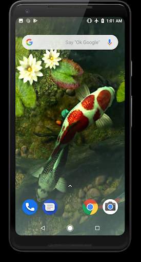 Koi Fish Video Live Wallpaper screenshot 1