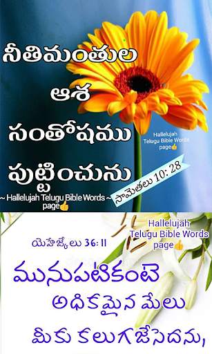 Daily Bible Prayer Quotes Telugu screenshot 7