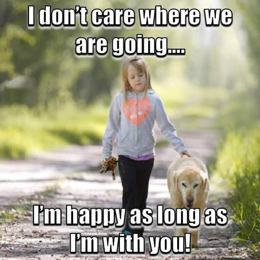 Animal Lover Quotes - Dog Lover Status - Cat Love screenshot 16