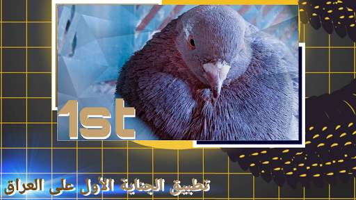 تطبيق الجناية | app poultry (النسخة التجريبية) 2 تصوير الشاشة