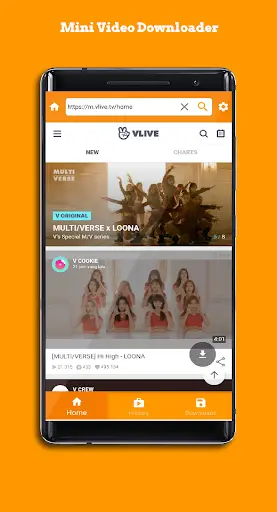 Browser Hub - Video Download 2 تصوير الشاشة