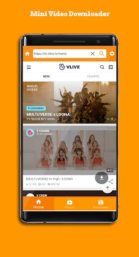 Browser Hub - Video Download screenshot 2