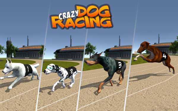 Crazy Dog Racing screenshot 1