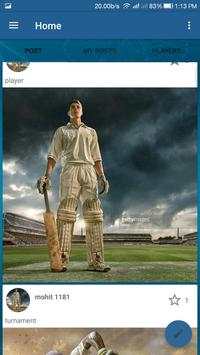 Let's Play Cricket screenshot 5