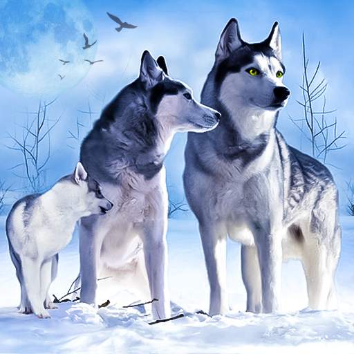 Arctic Wolf Sim 3D 6.0