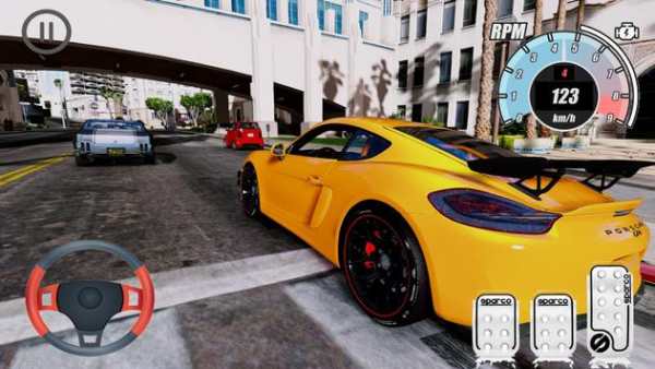 Top Simulator Porsche Cayman GT4 Edition screenshot 4