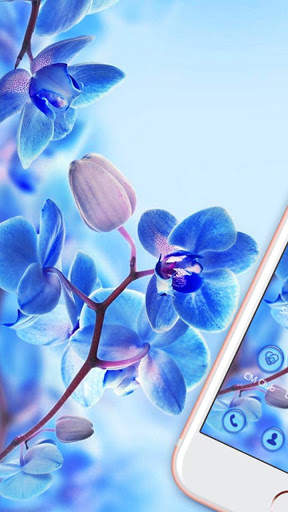 Blue Flower Nature Theme screenshot 3