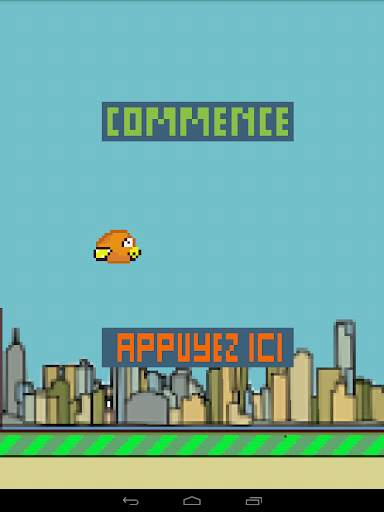 Jeu d' oiseau screenshot 6