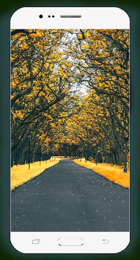 Road Wallpaper HD screenshot 10