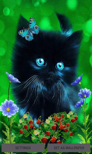 Butterfly Cat Live Wallpaper screenshot 1