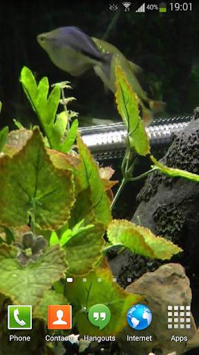 Fish Live Wallpaper HD 2 screenshot 6