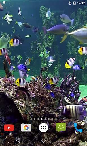 Aquarium 4K Video Wallpaper screenshot 2