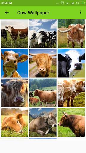Cow Wallpaper screenshot 3