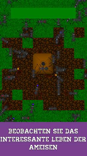 Ant Evolution - ameisensimulator screenshot 1
