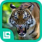 Fauna Provinsi Indonesia icon