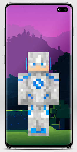 Flash Minecraft Skin screenshot 2