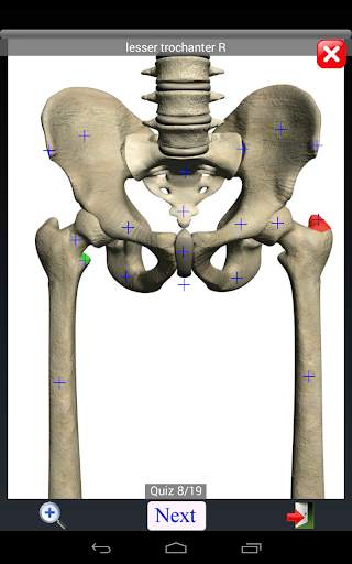 Anatomy Quiz скриншот 16