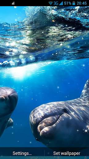 Dolphin 3D Live Wallpaper screenshot 1