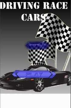 Race Car Driving screenshot 3