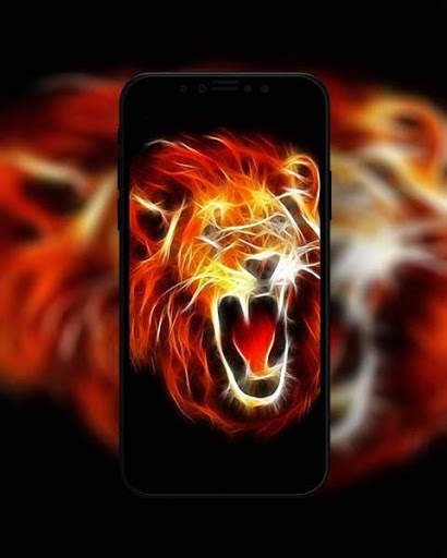 Orange Wallpapers HD screenshot 3