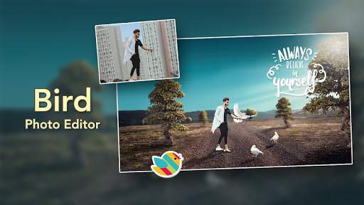 Bird Photo Editor screenshot 4