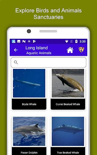 Long Island Travel & Explore, Offline Travel Guide screenshot 13