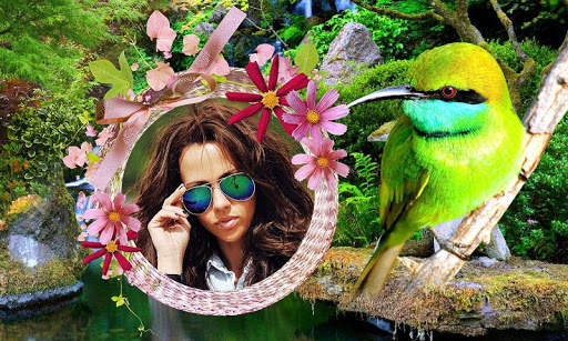 Birds Photo Frames HD screenshot 4