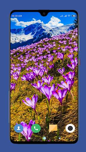 Beautiful Spring Wallpaper  4K screenshot 5