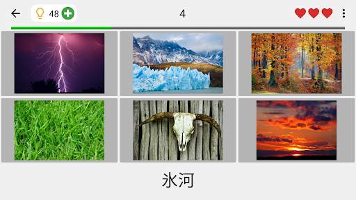 写真と言葉を推測する : 5つのトピックに画像をクイズ screenshot 6
